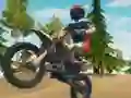 Trò chơi Dirt Bike Enduro Racing trực tuyến