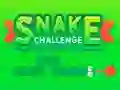 Trò chơi Snake Challenge trực tuyến