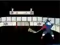 Trò chơi Capitaine Cage Hockey trực tuyến