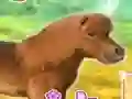 Trò chơi My Dear Pony trực tuyến