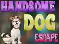 Trò chơi Handsome Dog Escape trực tuyến