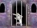 Trò chơi Victory Rabbit Escape trực tuyến
