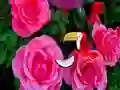 Trò chơi Precious Rose Escape trực tuyến
