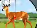 Trò chơi Wild Hunt Hunting Games 3D trực tuyến