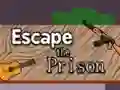 Trò chơi Escape the Prison trực tuyến