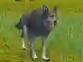 Trò chơi The Wolf: Wild Animal Simulator trực tuyến