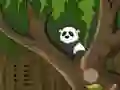 Trò chơi Panda Jungle Escape trực tuyến