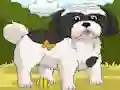 Trò chơi Dogs Spot the Diffs Part 2 trực tuyến
