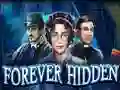 Trò chơi Forever Hidden trực tuyến