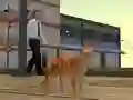 Trò chơi Cat City Simulator trực tuyến