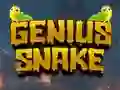 Trò chơi Genius Snake trực tuyến