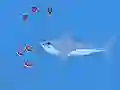 Trò chơi Oceans Shees trực tuyến