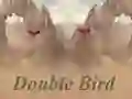 Trò chơi Double Bird trực tuyến