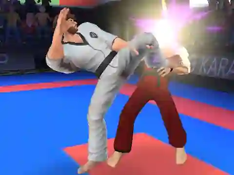 Trò chơi Karate Fighter trực tuyến