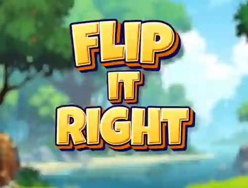 Trò chơi Flip It Right trực tuyến