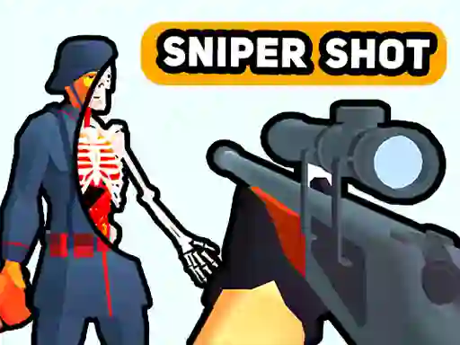 Trò chơi Sniper Shot: Bullet Time trực tuyến