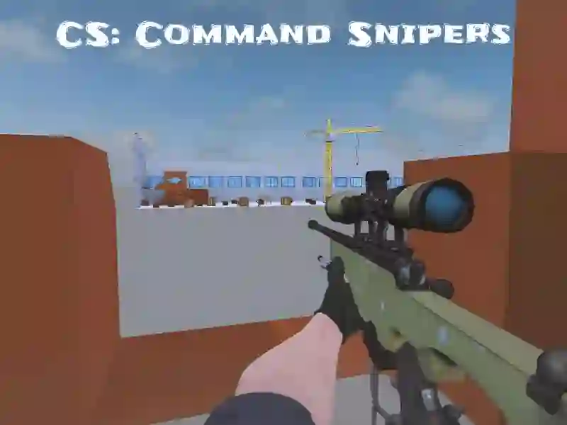 Trò chơi CS: Command Snipers trực tuyến