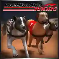 Trò chơi Greyhound Racing trực tuyến