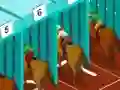 Trò chơi Derby racing trực tuyến