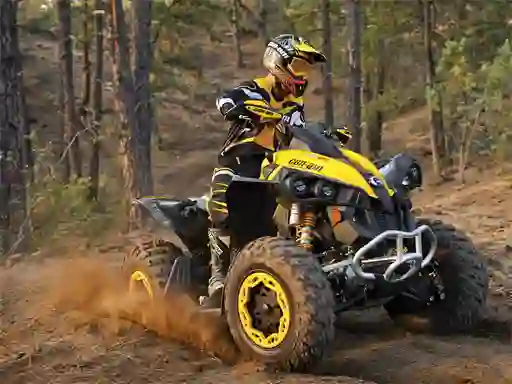 Trò chơi ATV Offroad Puzzle trực tuyến