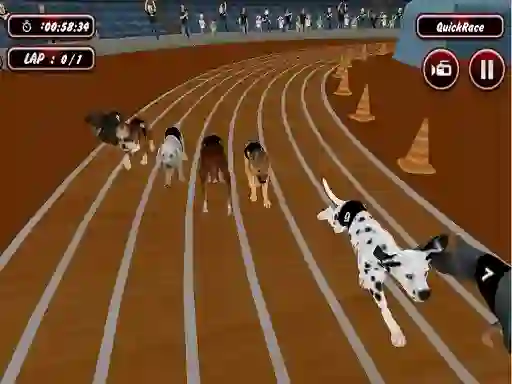 Trò chơi Crazyl Dog Racing Fever trực tuyến