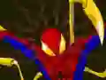 Trò chơi Spiderman Customization trực tuyến