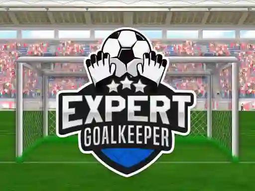 Trò chơi Expert Goalkeeper trực tuyến