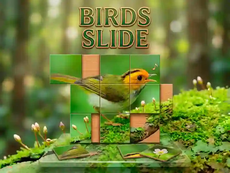 Trò chơi Birds Slide trực tuyến