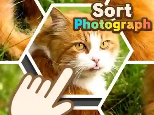 Trò chơi Sort Photograph trực tuyến