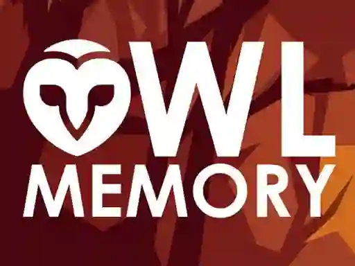 Trò chơi Owl Memory trực tuyến