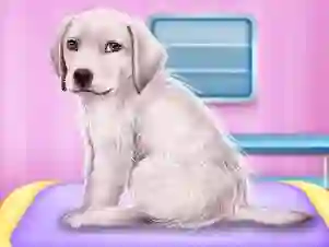 Trò chơi Labrador at the doctor salon trực tuyến