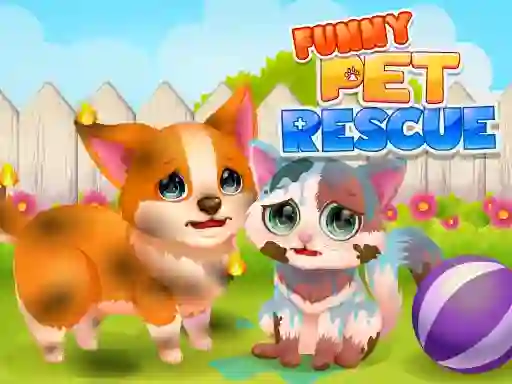 Trò chơi Funny Rescue Pet trực tuyến