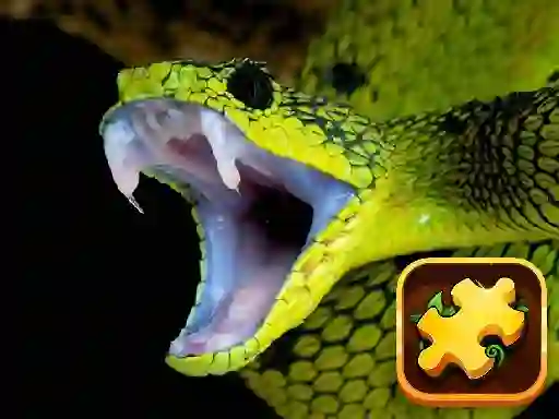 Trò chơi Snake Puzzle Challenge trực tuyến
