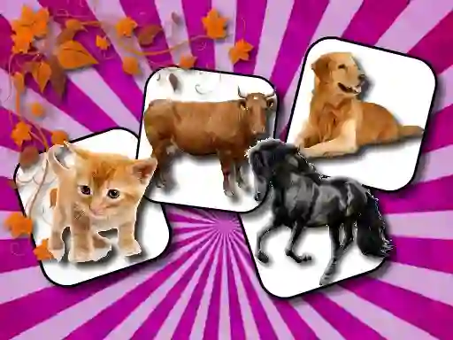 Trò chơi Domestic Animal Memory Challenge trực tuyến