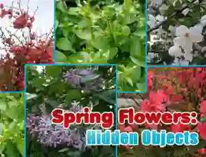 Trò chơi Spring Flowers: Hidden Objects trực tuyến