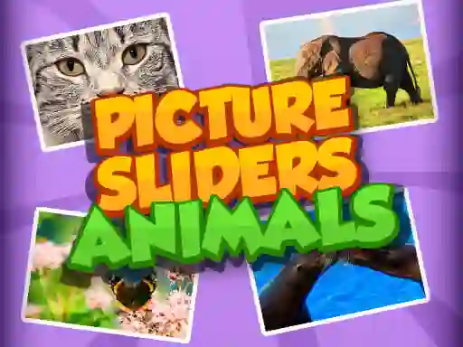 Trò chơi Picture Slider Animals trực tuyến