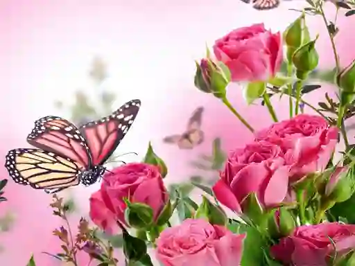 Trò chơi Butterflies Puzzle trực tuyến