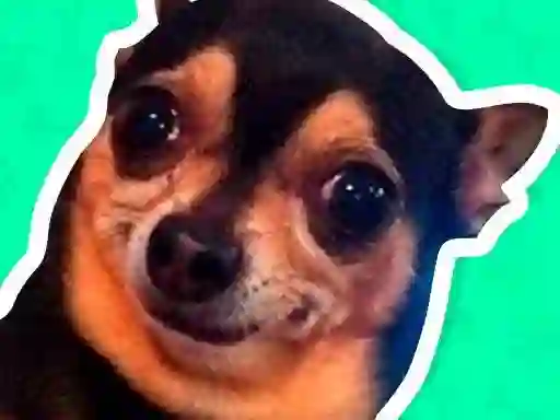 Trò chơi What meme dog are you ? trực tuyến