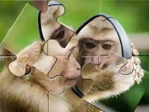 Trò chơi Chimpanzee Jigsaw trực tuyến