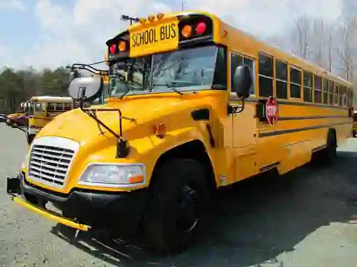 Trò chơi School Buses Puzzle trực tuyến