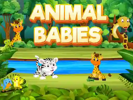 Trò chơi Animal Babies trực tuyến