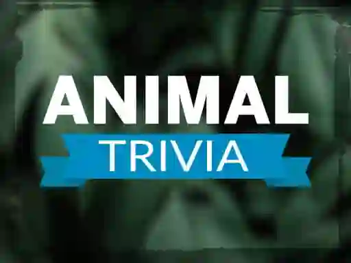 Trò chơi Animal Trivia trực tuyến