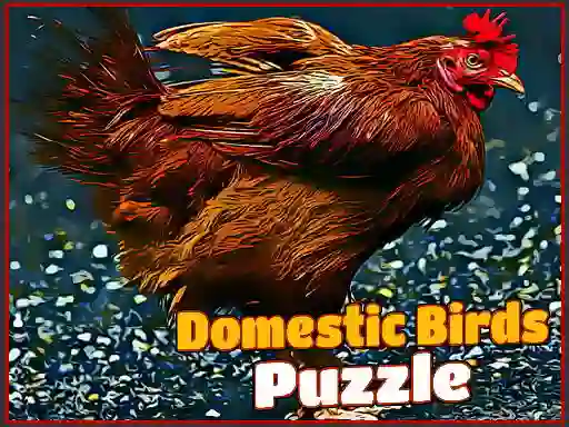 Trò chơi Domestic Birds Puzzle trực tuyến