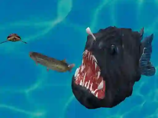 Trò chơi Fish 3d trực tuyến