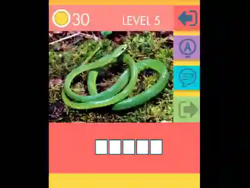 Trò chơi 15 Picture Quiz trực tuyến