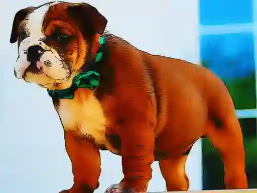 Trò chơi Bulldog Puppy Puzzle trực tuyến
