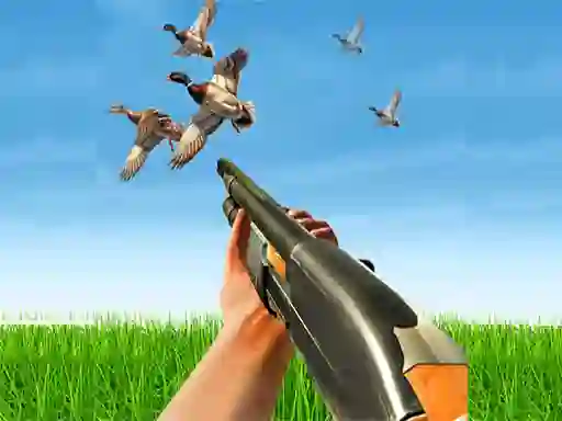 Trò chơi Bird Hunting trực tuyến