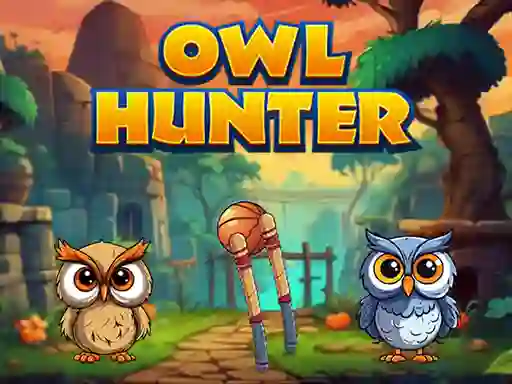 Trò chơi Owl Hunter trực tuyến