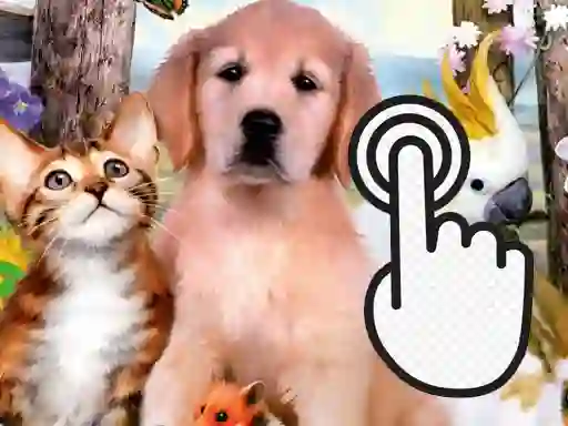 Trò chơi Pets Clicker trực tuyến