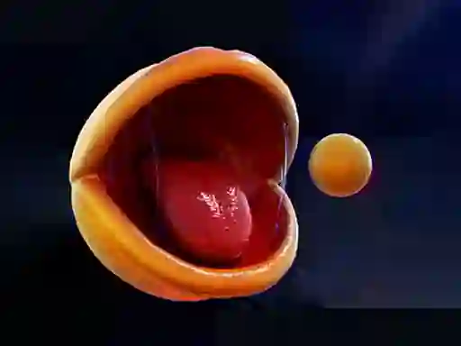 Trò chơi Pac-Man trực tuyến